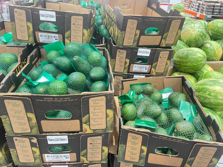 AVOCADOS PRODUCT OF MEXICO  ITM 647465 at Costco