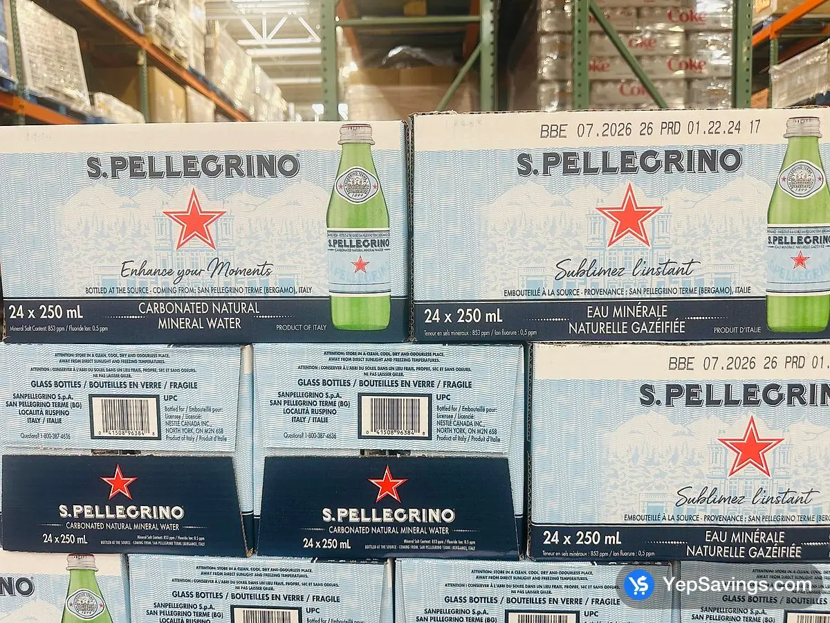 SAN PELLEGRINO MINERAL WATER 24 x 250 mL ITM 109450 at Costco