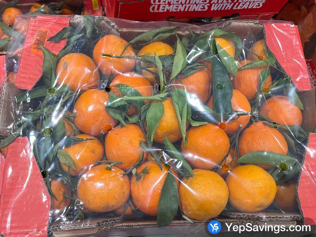 Costco STEM AND LEAF CLEMENTINES PRODUCT OF SPAIN - Canada (ITM 1706593)