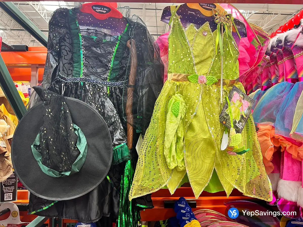 Costco DISGUISE DISNEY LICENSED COSTUMES SIZES 3/4 TO 7/8 - Canada (ITM 1601306)