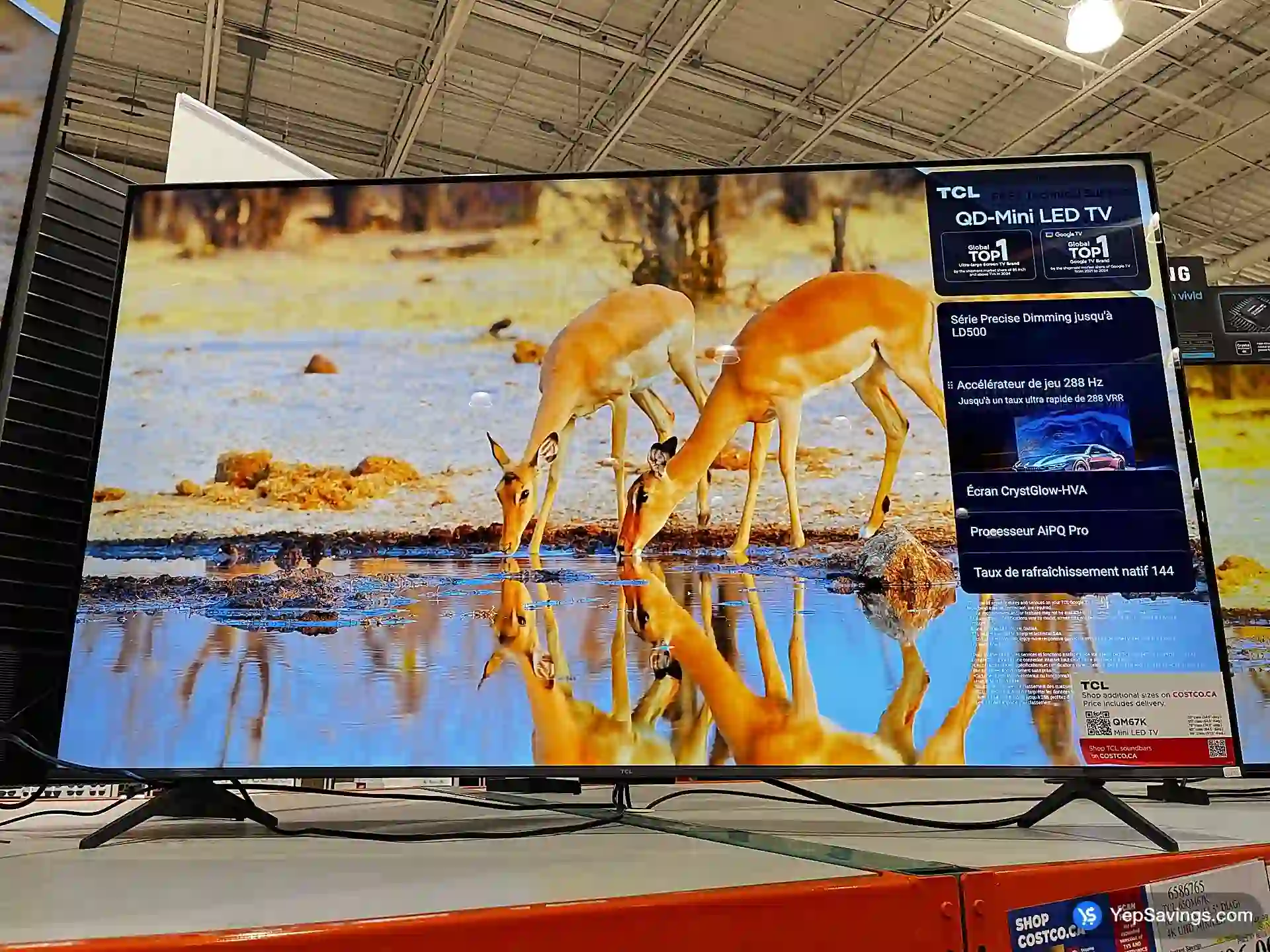 TCL 65QM67K 65" CLASS (64.5" DIAG) 4K UHD MINILED TV - Costco Canada (ITM 6586765)