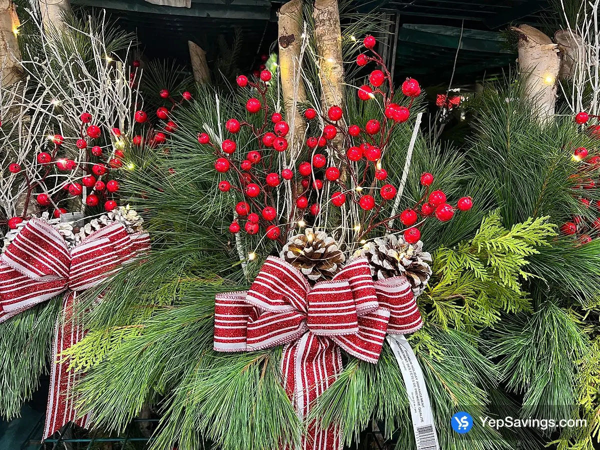 Costco 12" PREMIUM HOLIDAY OUTDOOR ARRANGEMENT - Canada (ITM 1213432)
