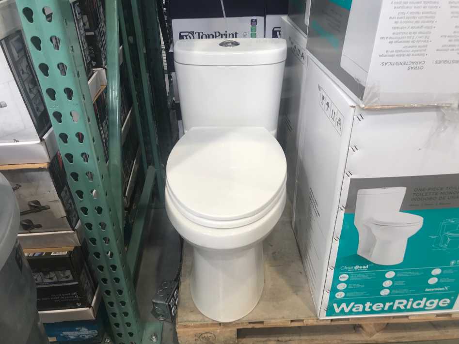 Costco WATERRIDGE ONE PIECE ELONGATED DUAL FLUSH TOILET - Canada (ITM 918020)