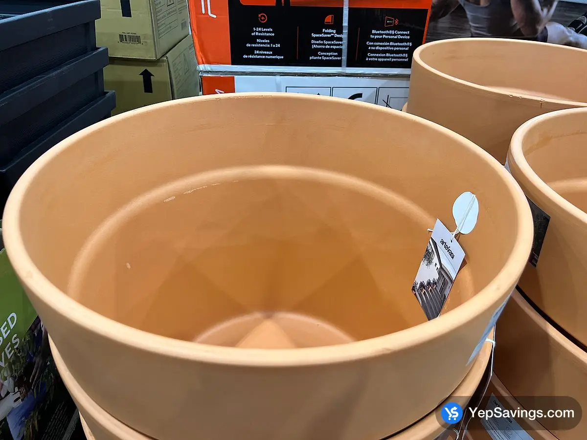 ARTEVASI AMALIA WIDE POT 50 CM ITM 1752459 at Costco