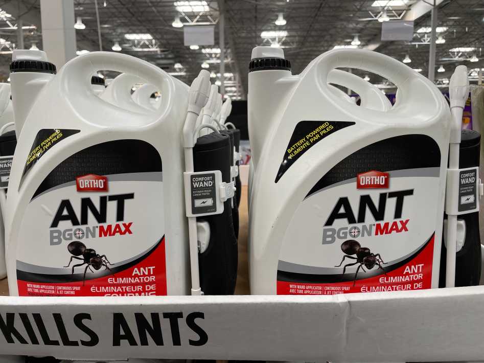 Costco ORTHO ANT BGON MAX 5L - Canada (ITM 1098668)