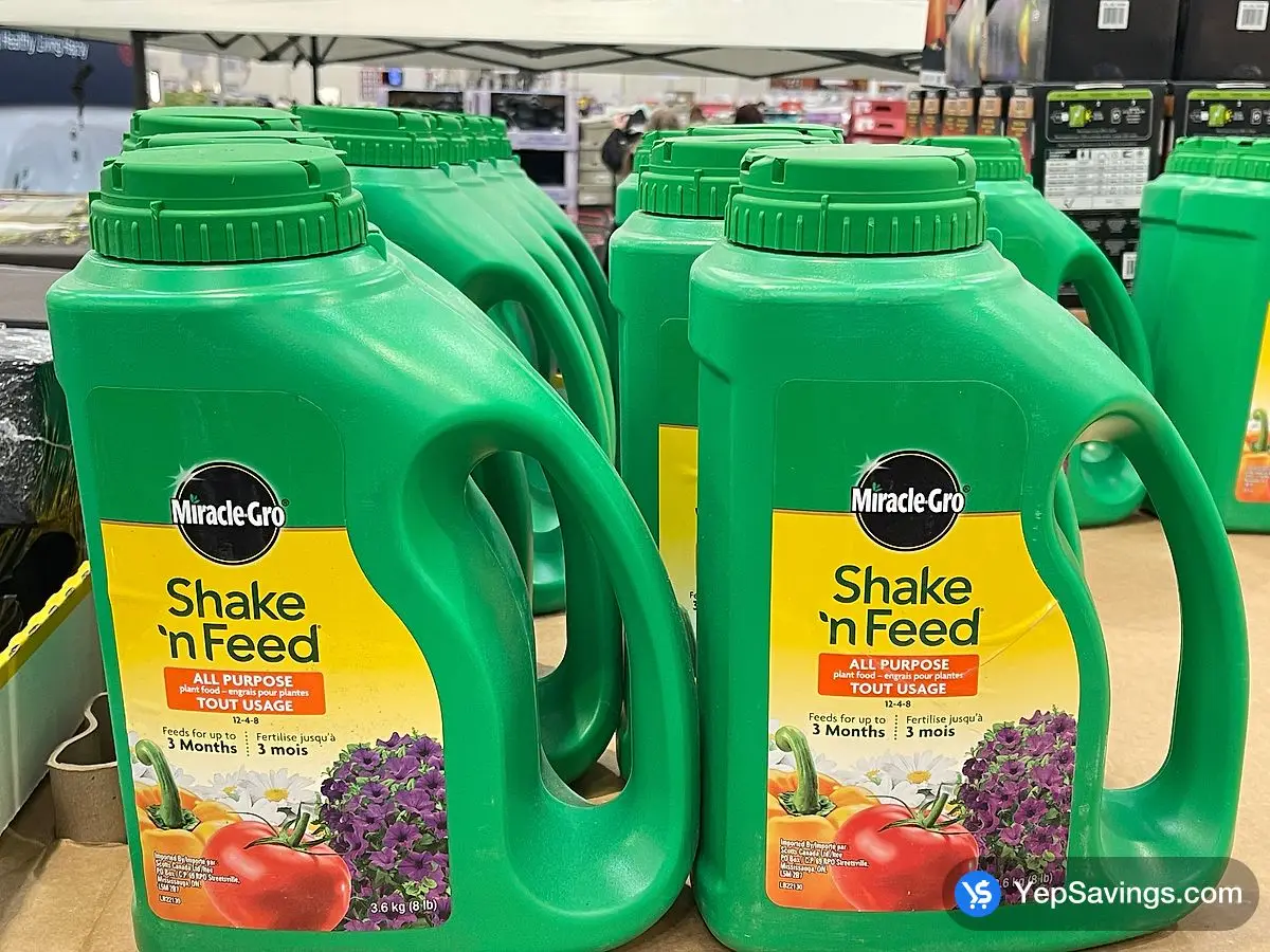 Costco MIRACLE - GRO SHAKE'N FEED 3.6KG - Canada (ITM 7199639)