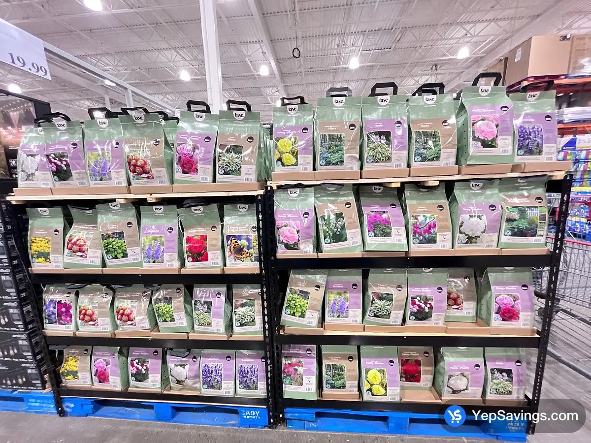 BULBS ARE EASY ASSORTED PERENNIAL BULBS ITM 1206624 at Costco