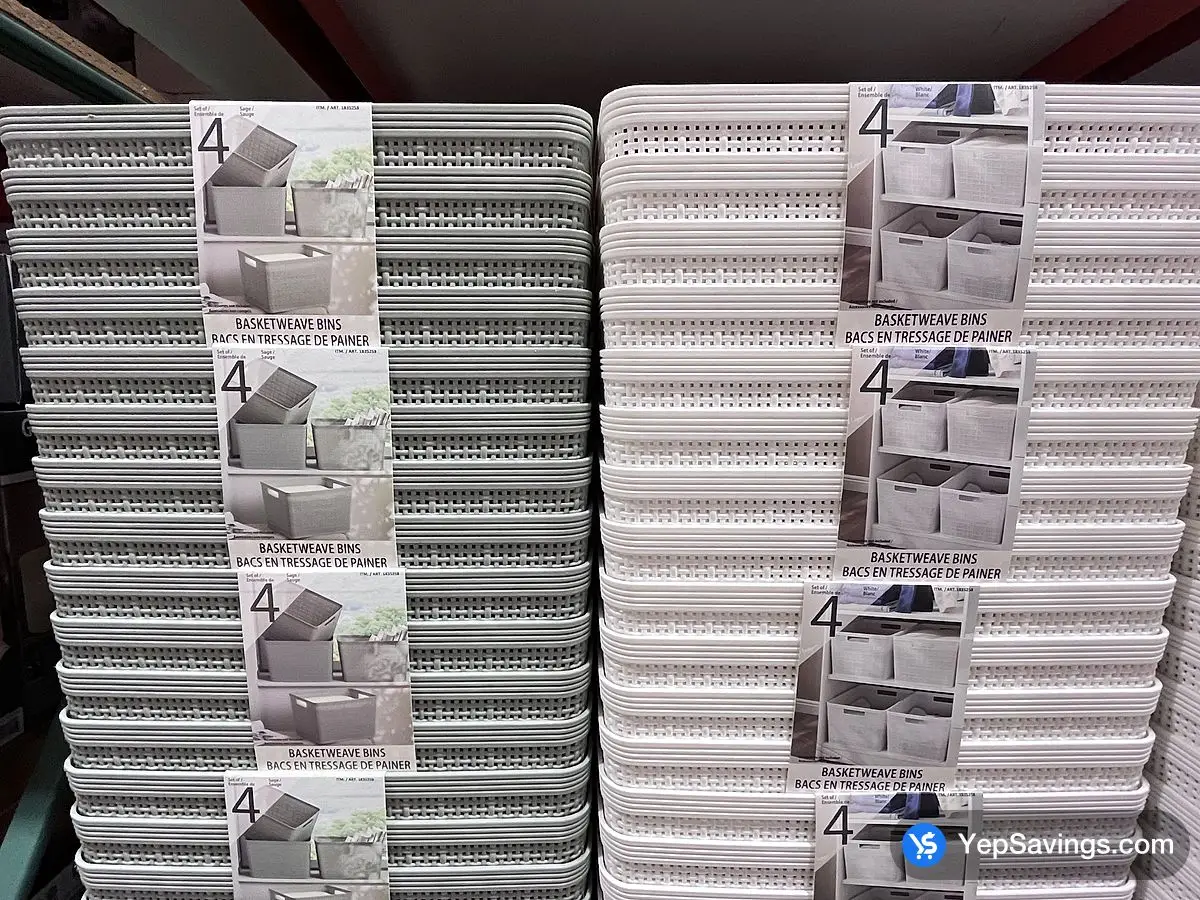 Costco BAUM PLASTIC STORAGE BINS PACK OF 4 - Canada (ITM 1835258)