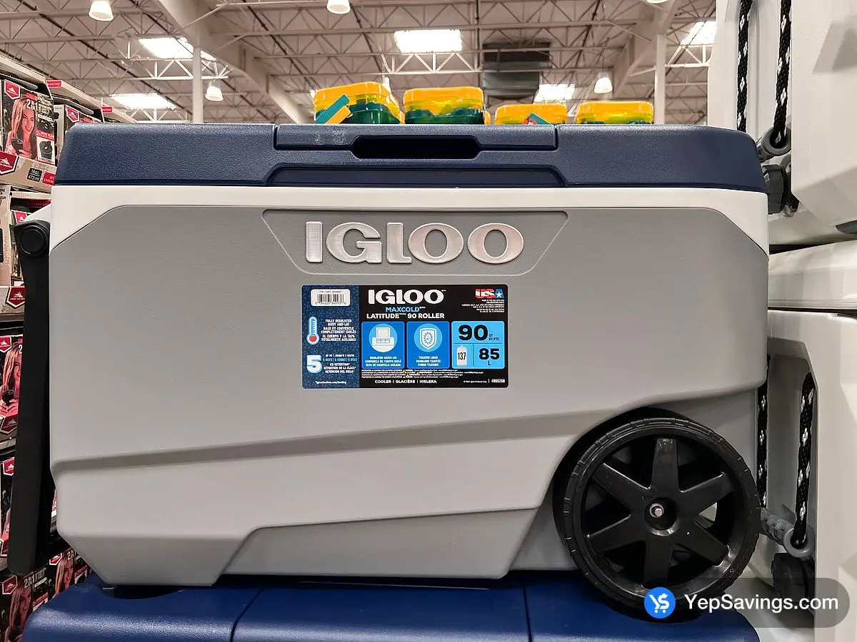 Costco IGLOO MAXCOLD COOLER 137 CAN CAPACITY - Canada (ITM 1654607)