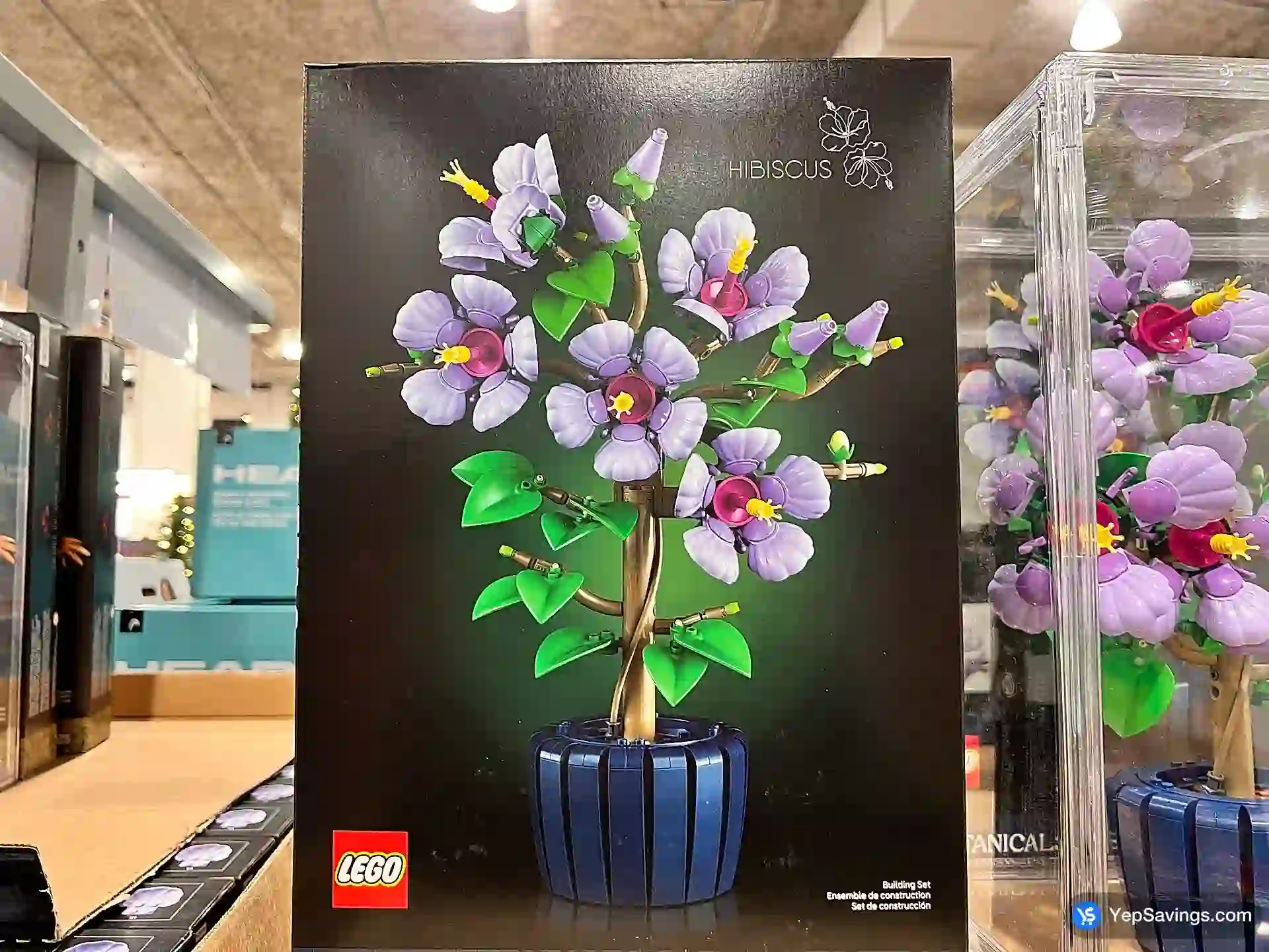 BOTANICALS HIBISCUS view 2