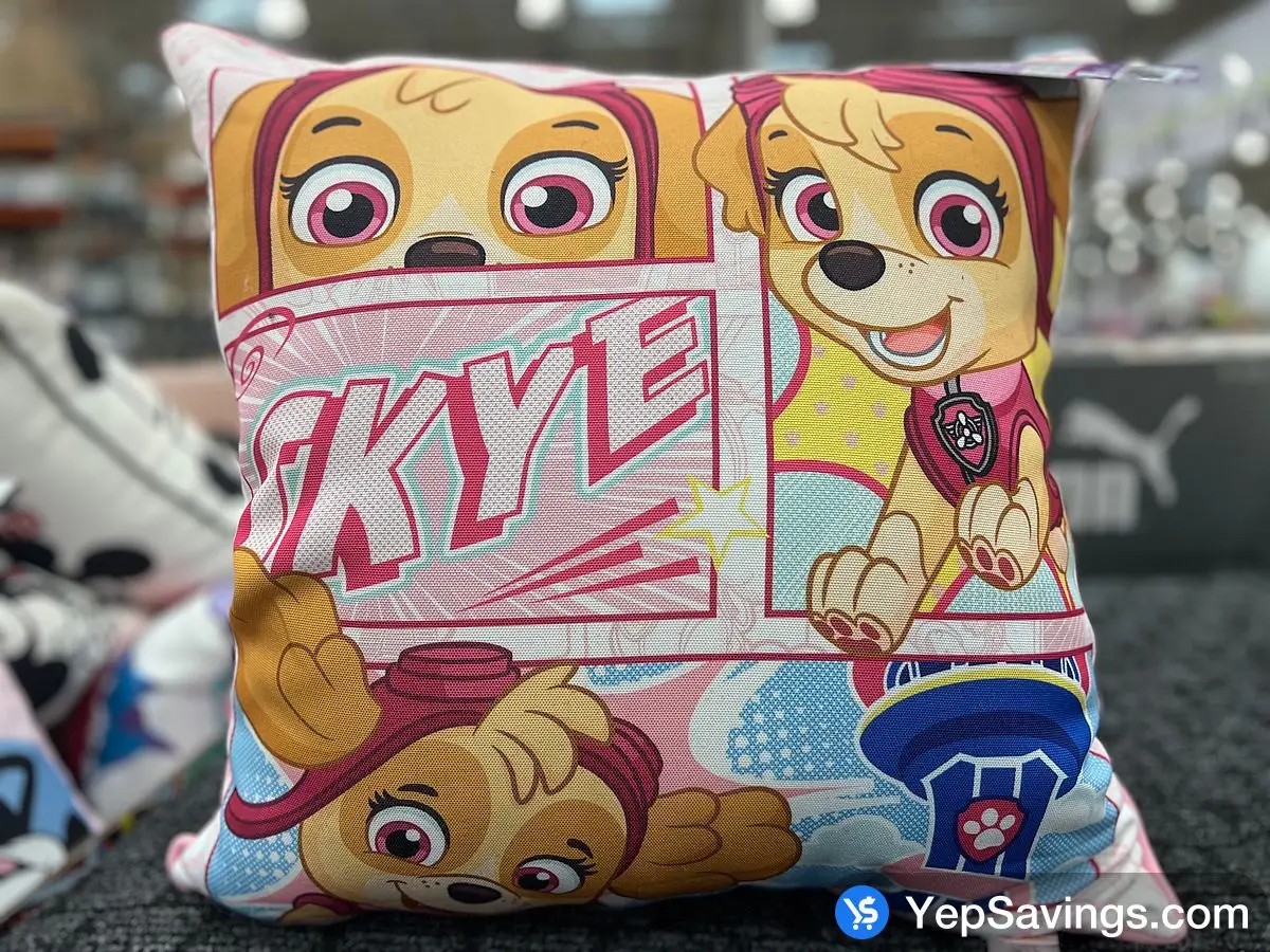 Costco LICENSED KIDS FLOOR PILLOW 22 " X 22 " - Canada (ITM 1790015)