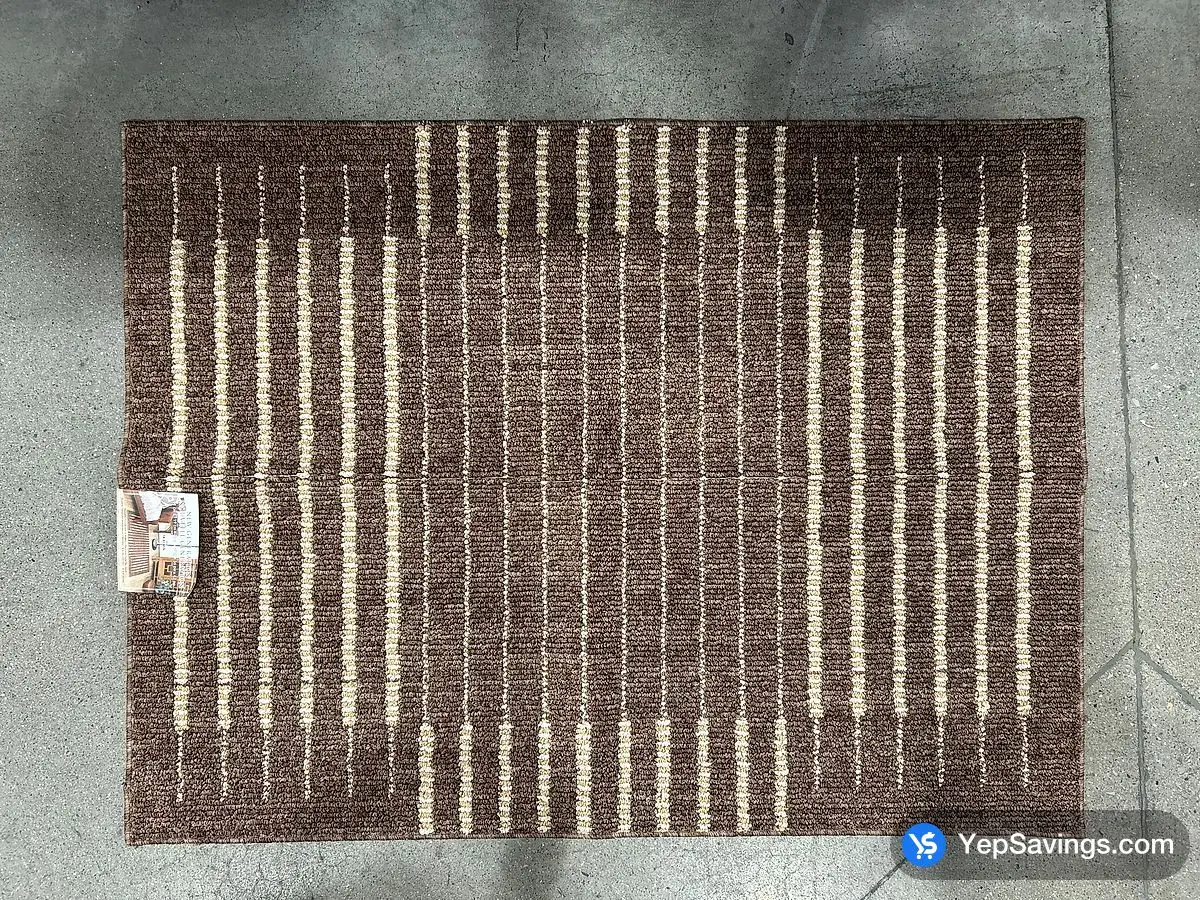 Costco NEW GENERATION ACCENT RUG 36 " X 47 " - Canada (ITM 3088568)