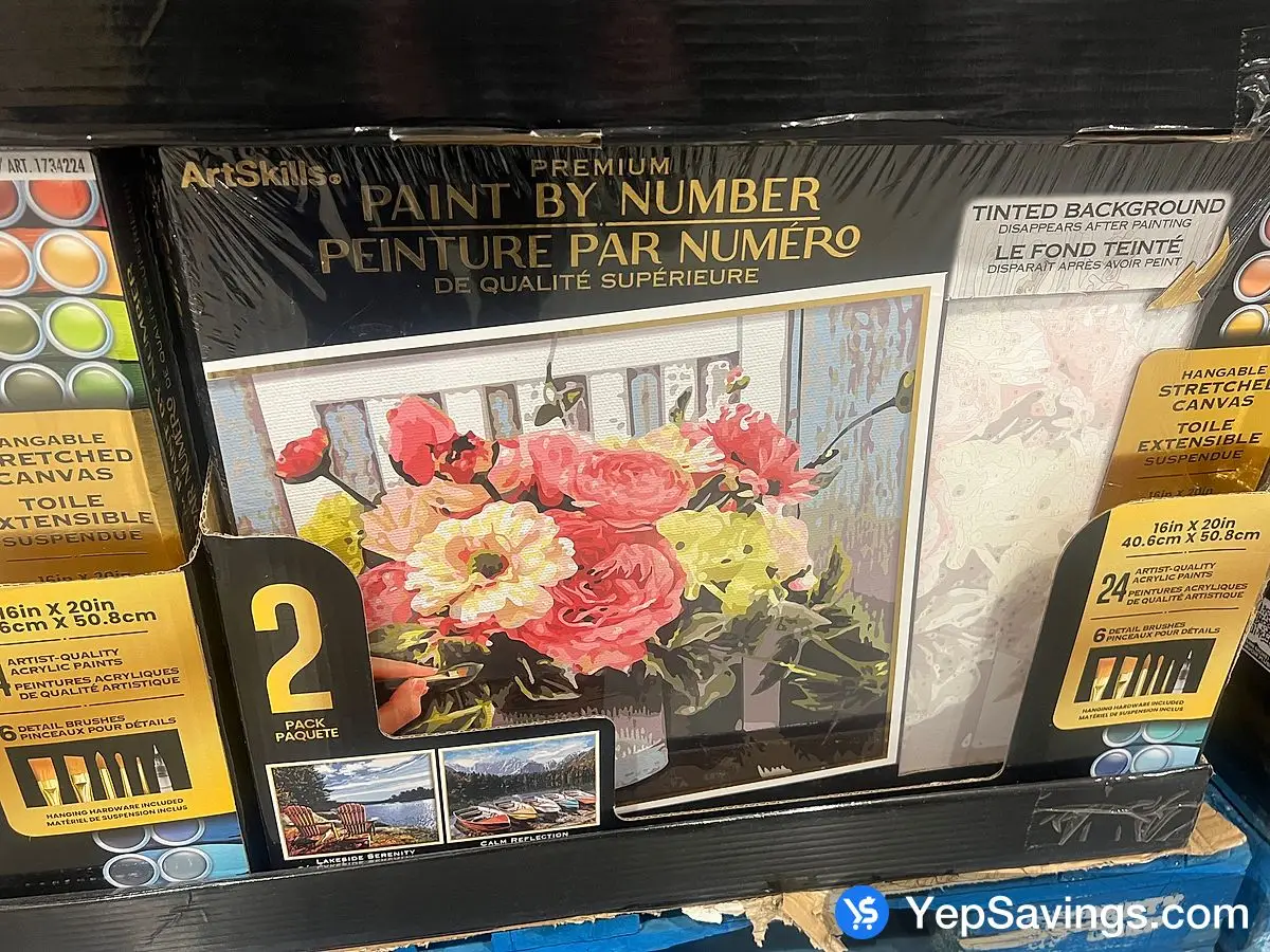 Costco ARTSKILLS PAINT BY NUMBER PACK OF 2 - Canada (ITM 1734224)