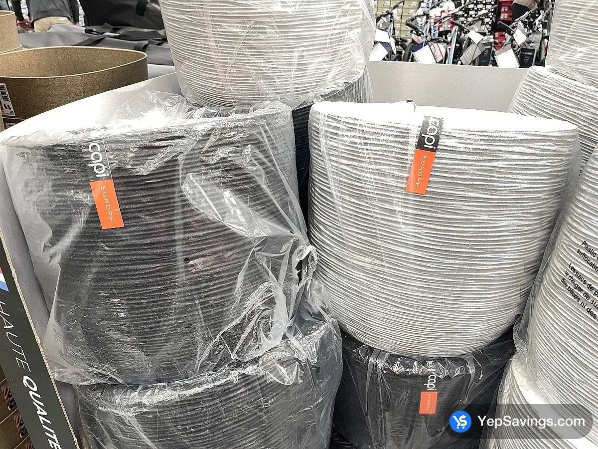 Costco CAPI 2 PACK PLANTER - Canada (ITM 1869879)