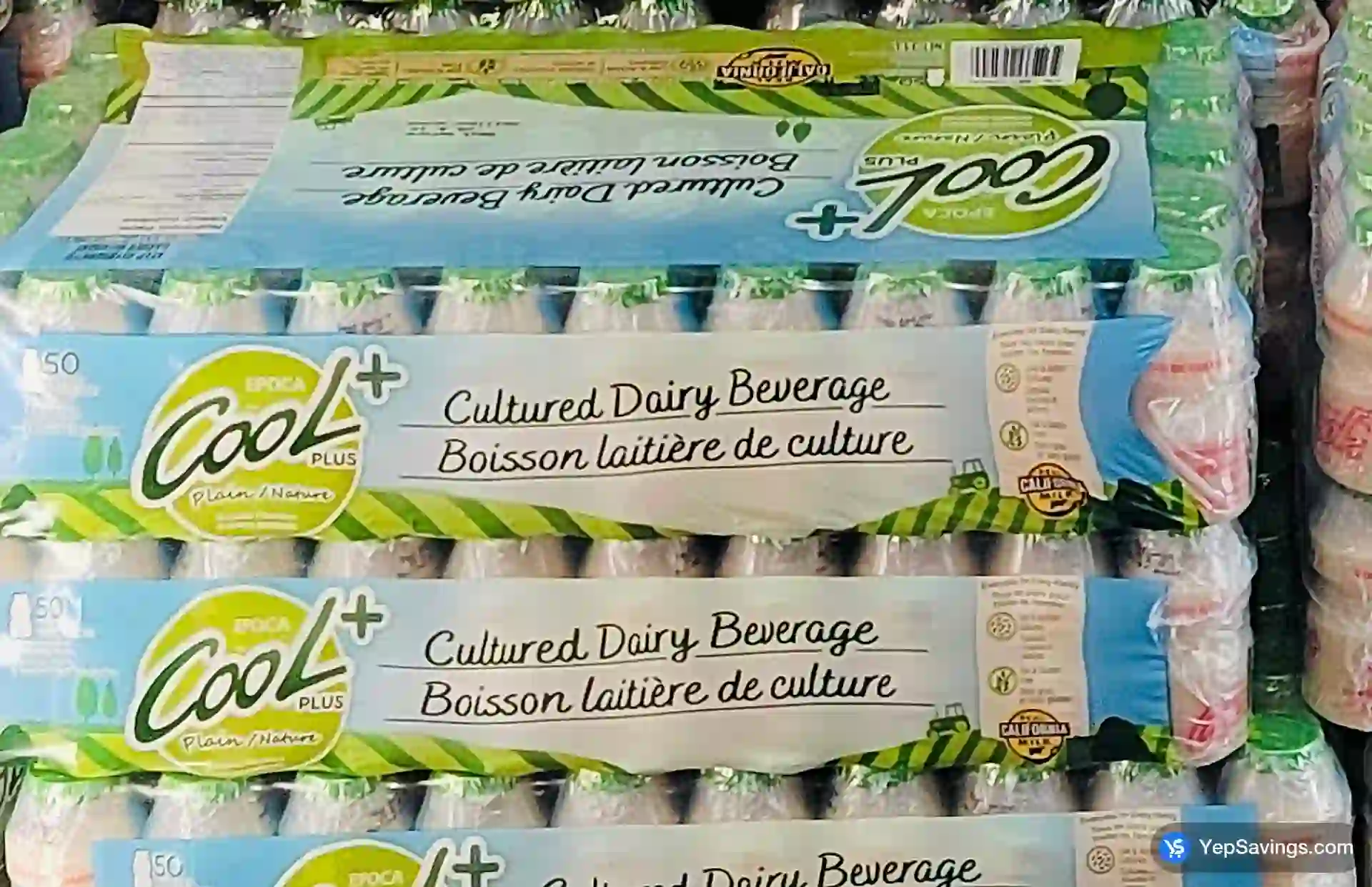 Costco COOL PLUS CULTURED DAIRY DRINK 50 x 62mL - Canada (ITM 729442)