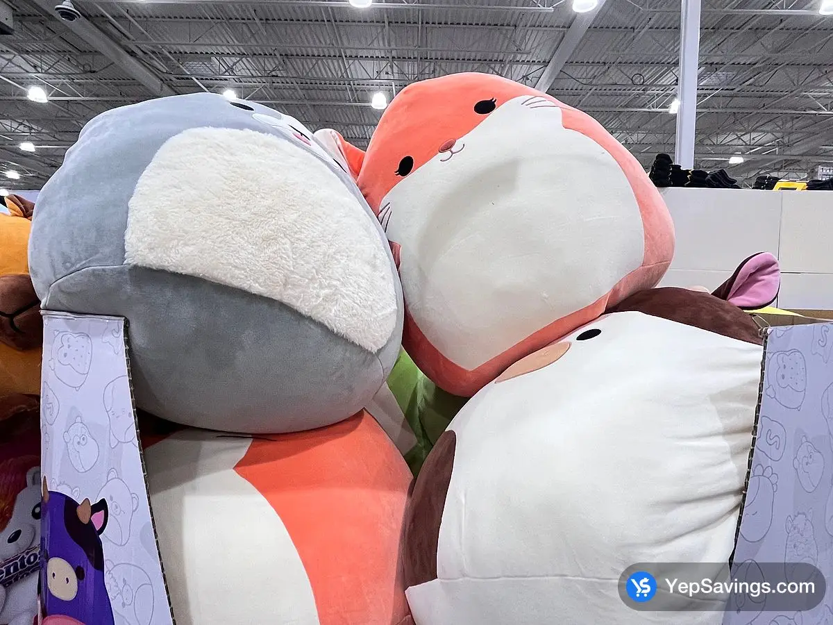Costco SQUISHMALLOWS 24 " PLUSH ASSORTMENT - Canada (ITM 1601374)
